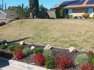 Bush Trimming by Aaron Templeton for Ericka T. in Moreno Valley, CA