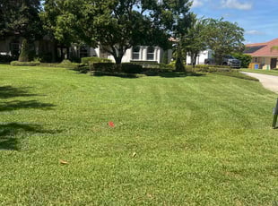 ADAM F.'s Lawn Mowing Service service result