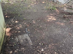 Maria C.'s Bush Trimming service result