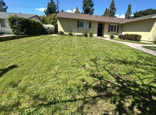 Leaf Removal by Jose Olivares for Michele A. in Los Angeles, CA