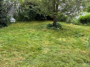 Cleanups by Roberto Pritchard for Tracy H. in Toledo, OH