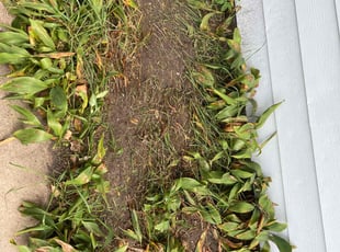 Weeding by Seandell Carter Sr for Bonnie D. in Columbia Heights, MN