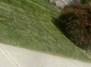 Andrew B.'s Lawn Care service result