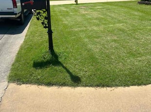 Matthew B.'s Yard Cutting service result