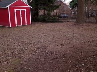 Leaf Removal by Dru Hoy for Kenneth H. in St. Louis, MO