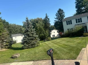 Tinetrea C.'s Lawn Mowing service result