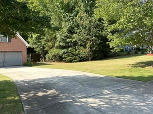 SABRINA L.'s Grass Cutting service result