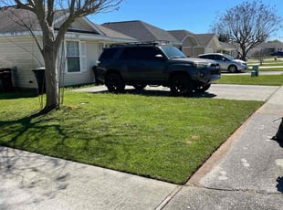 Hailee C.'s Lawn Mowing Service service result