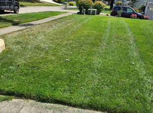 Tiffany S.'s Lawn Service service result