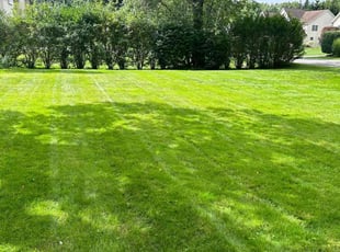 lorrel m.'s Lawn Care service result