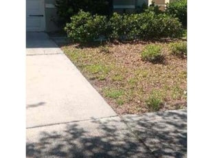 Weeding by William Chavers for Kevin M. in Riverview, FL