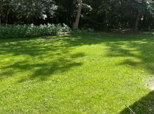 Kendra B.'s Grass Cutting service result