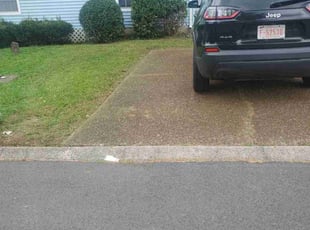 Bush Trimming by Anton Sumlin for Kevin R. in Goodlettsville, TN