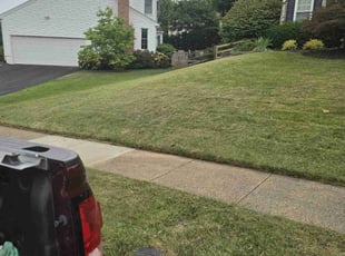 Emmett W.'s Lawn Care service result