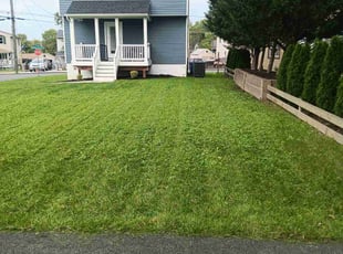 Tanner K.'s Lawn Service service result