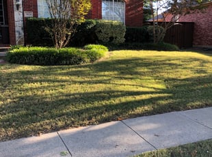Bush Trimming by Dustin Jones for Timothy B. in Plano, TX