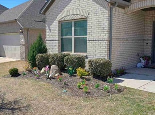 Bush Trimming by Daniel Sloan for Keila G. in Celina, TX