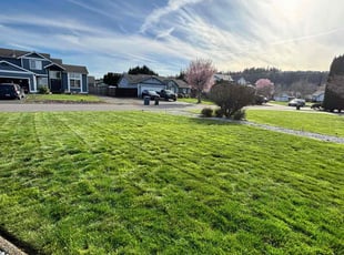 Kristina W.'s Lawn Service service result