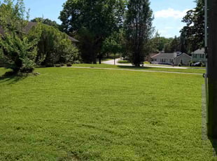 Brandie E.'s Lawn Service service result