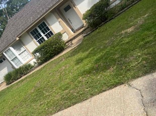 Duane B.'s Bush Trimming service result