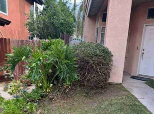 Bush Trimming by Edward Walsh for Christopher E. in Fontana, CA
