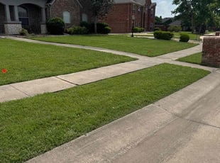 Connor S.'s Lawn Service service result
