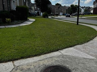 Michelle H.'s Lawn Mowing service result