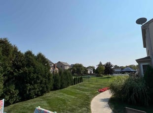 William M.'s Grass Cutting service result