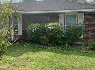 Bush Trimming by Johnnie Spears for Vanisha A. in Baton Rouge, LA