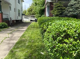 Bush Trimming by Seantrell Lawson for Carlos P. in Cleveland, OH