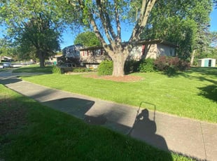 Diamonique H.'s Lawn Care service result