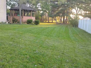 Erin B.'s Grass Cutting service result