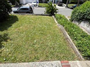 Richie R.'s Grass Cutting service result