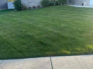 Lynn N.'s Grass Cutting service result