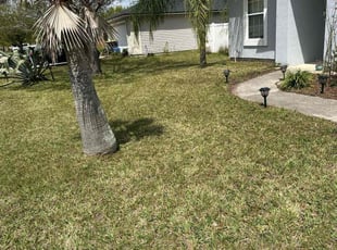 John J.'s Lawn Mowing service result