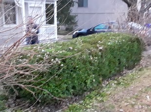 Bush Trimming by Garrett Howell for Vanessa K. in Lee's Summit, MO