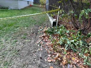 Bush Trimming by Steve Valverde for Shahina S. in Warwick, RI