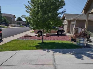 Ellen S.'s Lawn Service service result