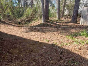 Cleanups by Eric Cotto for Patricia B. in Lithonia, GA