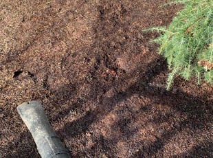 Leaf Removal by Juan Mora for Jerry O. in Redmond, WA