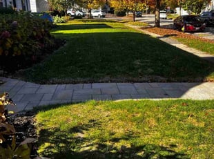 Mark F.'s Lawn Service service result