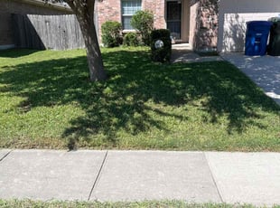 Bush Trimming by Jason Gooding for Jason L. in Corpus Christi, TX