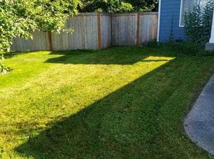 Christine G.'s Lawn Mowing service result