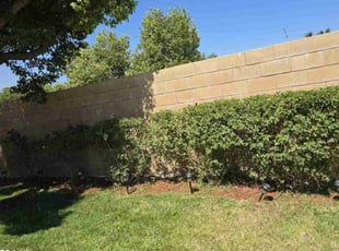 Joseph P.'s Bush Trimming service result