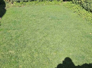 Jordan F.'s Lawn Service service result