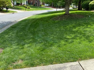 Jennifer G.'s Lawn Care service result