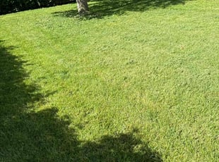 Glenn B.'s Lawn Care service result