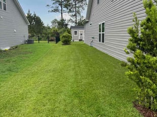 Brian M.'s Lawn Mowing service result