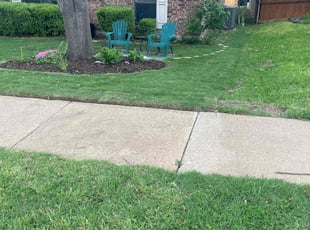 Lori M.'s Lawn Mowing Service service result
