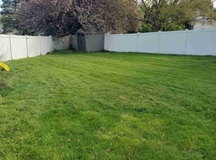 Laura M.'s Grass Cutting service result